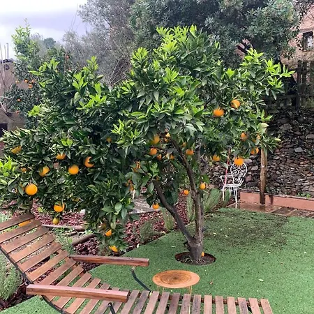 Apartment Caserio De *