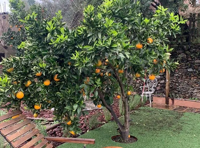 Apartmán Caserio De *