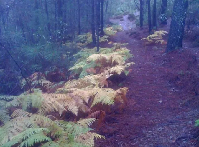 Lägenhet Caserio De